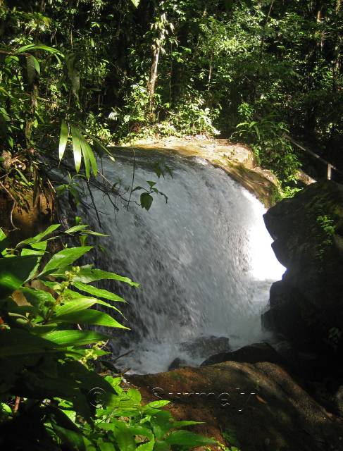 Chutes de Frougassi
Mots-clés: Guyane;Amrique;fleuve;rivire;cascade;Fourgassi