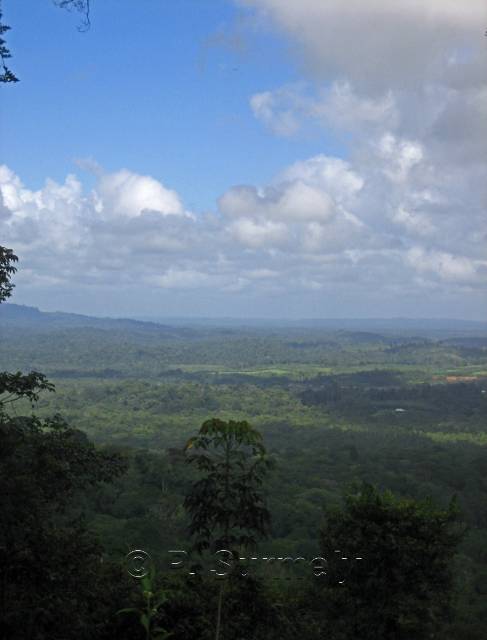 Vue depuis les hauts de Fourgassi�
Keywords: Guyane;Am�rique;for�t;piste;Roura