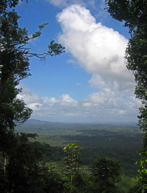 Vue depuis les hauts de Fourgassi
Mots-clés: Guyane;Amrique;fort;piste;Roura