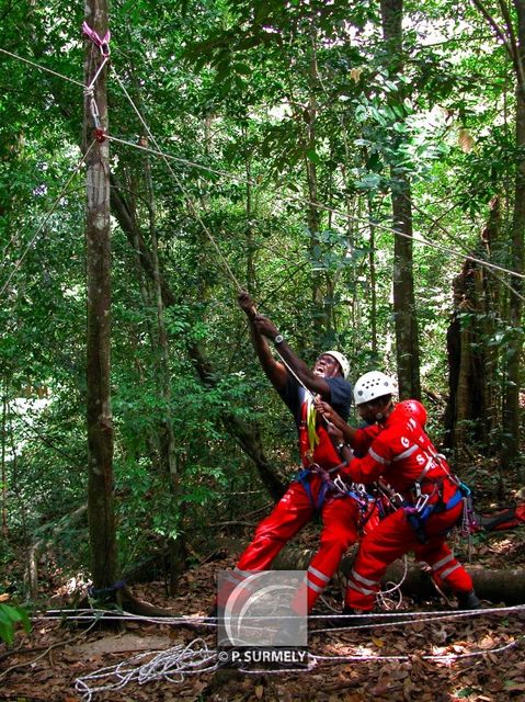 GRIMP 973
Falaise sur la route de l'Est
Mots-clés: Guyane;Amrique;tropiques;pompier;SDIS;secours;exercice;GRIMP