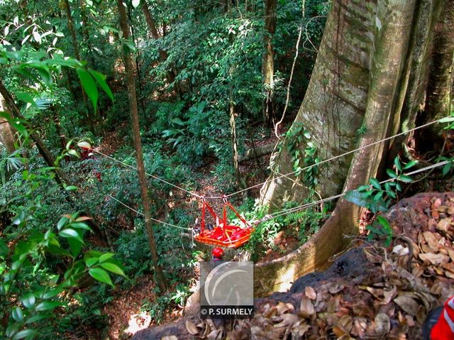 GRIMP 973
Falaise sur la route de l'Est
Mots-clés: Guyane;Amrique;tropiques;pompier;SDIS;secours;exercice;GRIMP