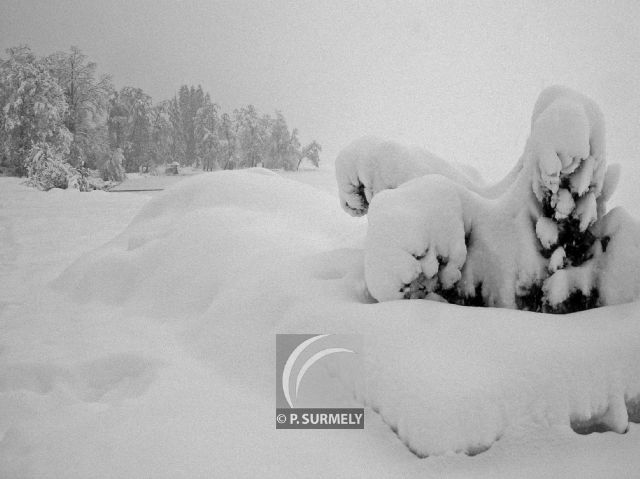 Grardmer
Mots-clés: France;Europe;Vosges;Grardmer;neige