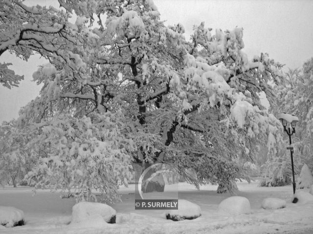 Grardmer
Mots-clés: France;Europe;Vosges;Grardmer;neige