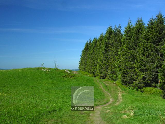 Grardmer
Mots-clés: France;Europe;Vosges;Grardmer