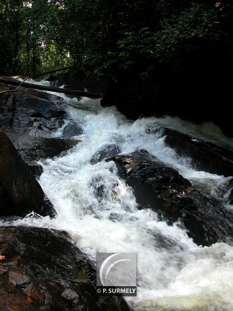 Crique Grillon
Mots-clés: Guyane;Amrique;fleuve;rivire;cascade;Grillon