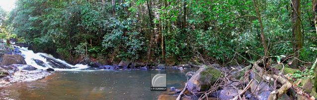 Crique Grillon
Mots-clés: Guyane;Amrique;fleuve;rivire;cascade;Grillon;panoramique