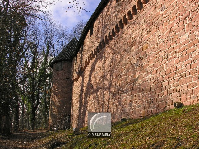 Haut-Koenigsbourg
Mots-clés: France;Europe;Alsace;Haut-Koenigsbourg;chateau