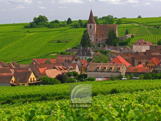 Hunawihr
Mots-clés: France;Europe;Alsace;Hunawihr;vignoble;vigne;glise