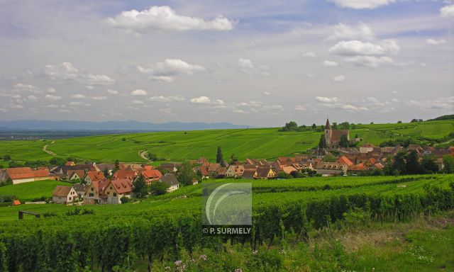Hunawihr
Mots-clés: France;Europe;Alsace;Hunawihr;vignoble;vigne