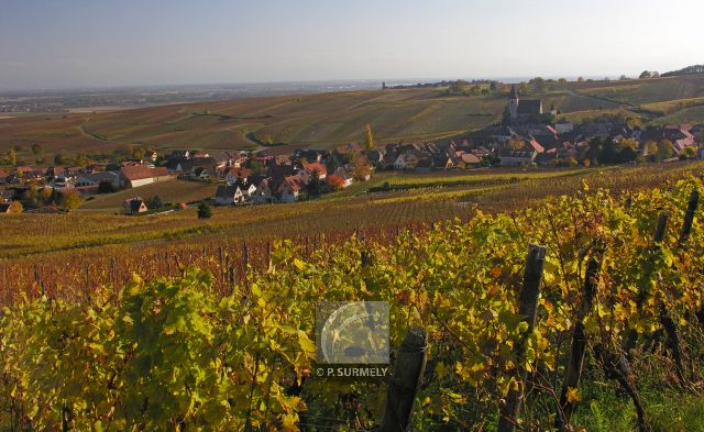 Hunawihr
          
Mots-clés: France;Europe;Alsace;Hunawihr;vignoble;vigne