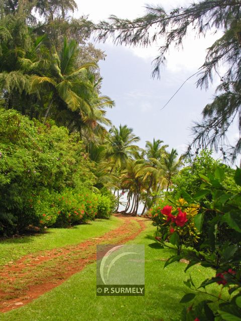 Ile Royale
Mots-clés: Guyane;Amrique;Kourou;le