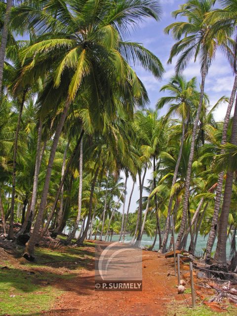 Ile Royale
Mots-clés: Guyane;Amrique;Kourou;le