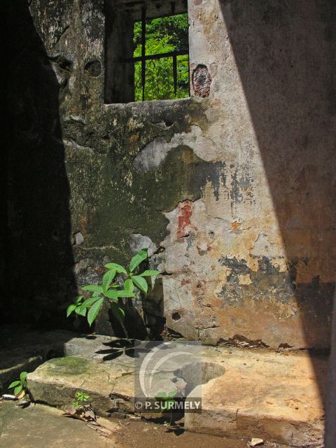 Iles du Salut
Toilette
Mots-clés: Guyane;Amrique;Kourou;Iles du Salut;bagne