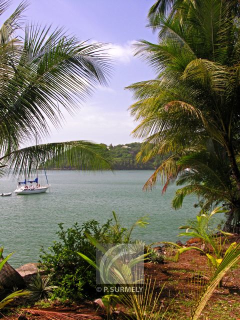 Ile Royale
Vue de Saint-Joseph
Mots-clés: Guyane;Amrique;Kourou;le