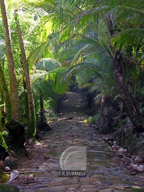 Ile Saint-Joseph
Mots-clés: Guyane;Amrique;Kourou;le