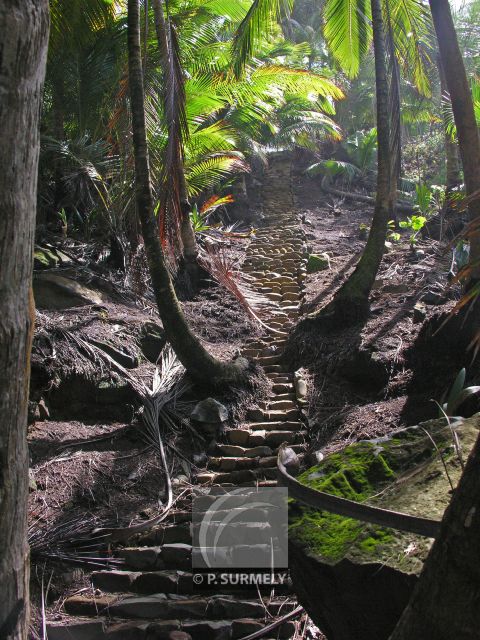 Ile Saint-Joseph
Mots-clés: Guyane;Amrique;Kourou;le