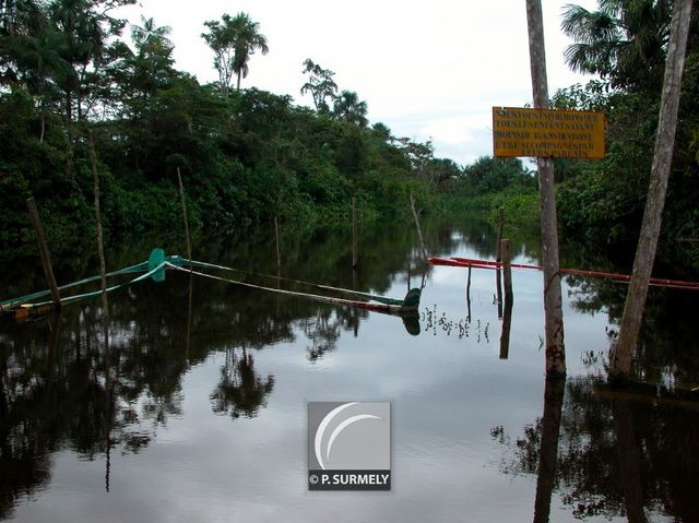 L'Acarouany
Mots-clés: Guyane;Amrique;Javouhey;Acarouany;fleuve