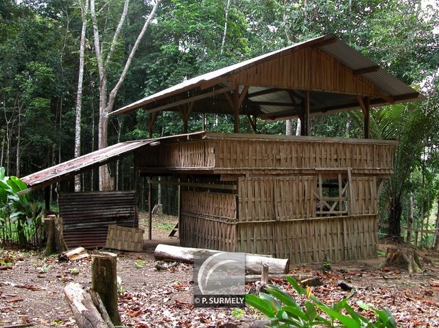 Carbet h'mong
Mots-clés: Guyane;Amrique;Javouhey;hmong