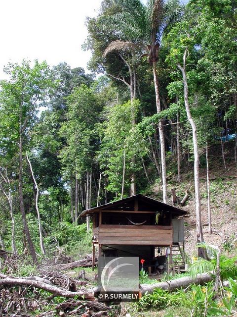 Carbet h'mong
Mots-clés: Guyane;Amrique;Javouhey;hmong