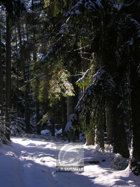 Kalblin
Mots-clés: France;Europe;Alsace;Kalblin;neige