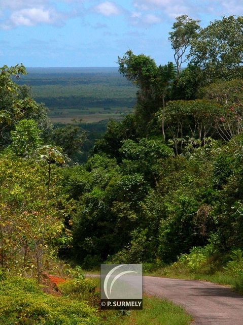 Route vers Kaw
Keywords: Guyane;Am�rique;for�t;piste;Kaw
