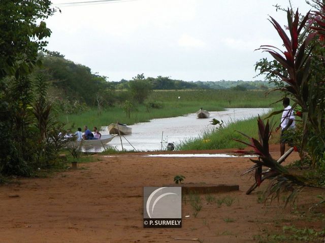 A Kaw
Mots-clés: Guyane;Amrique;marais;Kaw