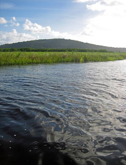 La Marais de Kaw
Mots-clés: Guyane;Amrique;marais;Kaw