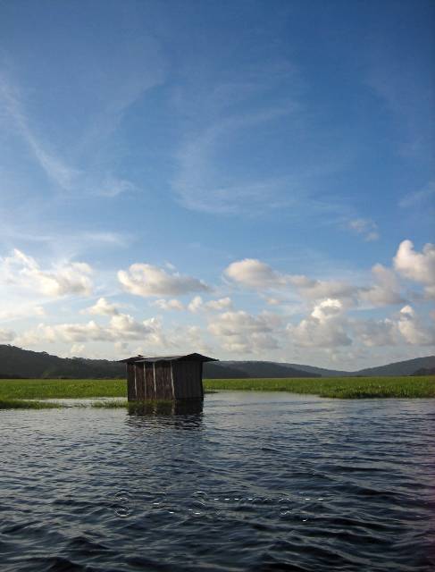 La Marais de Kaw
Mots-clés: Guyane;Amrique;marais;Kaw