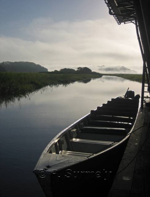 La Marais de Kaw
Mots-clés: Guyane;Amrique;marais;Kaw