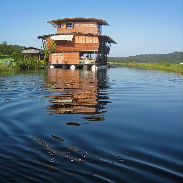 Carbet flottant sur le Marais de Kaw
Mots-clés: Guyane;Amrique;marais;Kaw;carbet