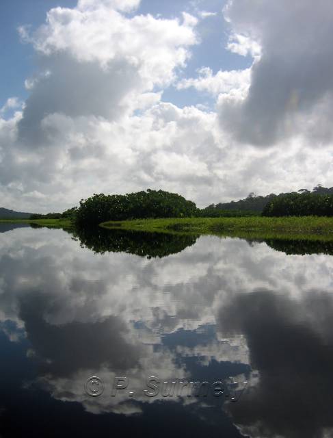 Le Marais de Kaw
Mots-clés: Guyane;Amrique;marais;Kaw