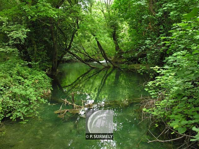 Parc Naturel de Krka
Mots-clés: Croatie;Europe;Krka;parc naturel