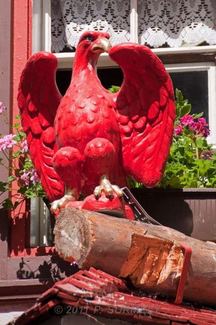 Kufstein : aigle
Mots-clés: Europe; Autriche; Tyrol; Kufstein