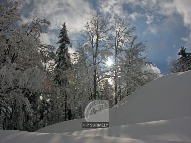 La Bresse
Mots-clés: France;Europe;Vosges;La Bresse;neige