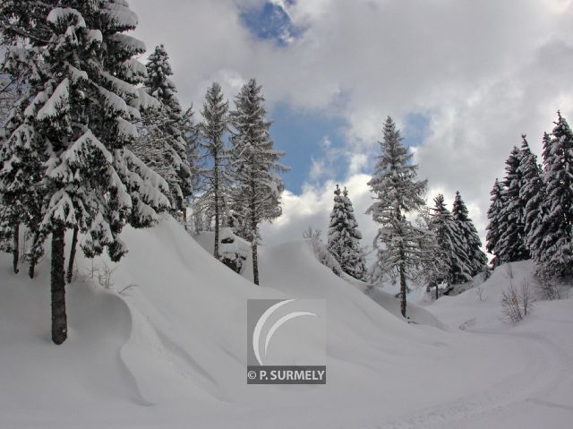 La Bresse
Mots-clés: France;Europe;Vosges;La Bresse;neige