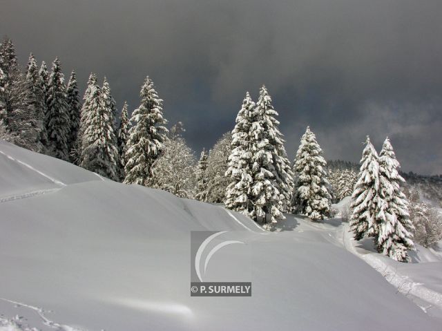 La Bresse
Mots-clés: France;Europe;Vosges;La Bresse;neige