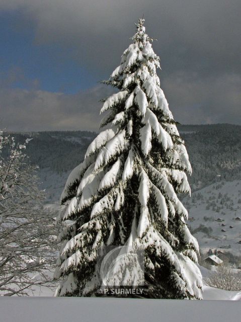 La Bresse
Mots-clés: France;Europe;Vosges;La Bresse;neige