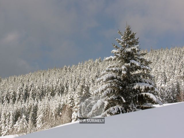 La Bresse
Mots-clés: France;Europe;Vosges;La Bresse;neige