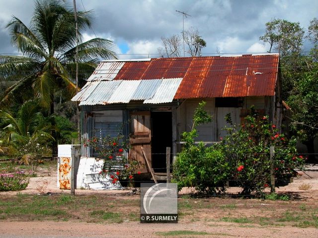 Non loin de Mana
Mots-clés: Guyane;Amrique;Mana