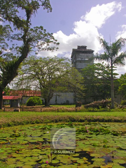 Marienburg
Dans l'ancienne rhumerie
Mots-clés: Suriname;Amrique;Marienburg;rhumerie