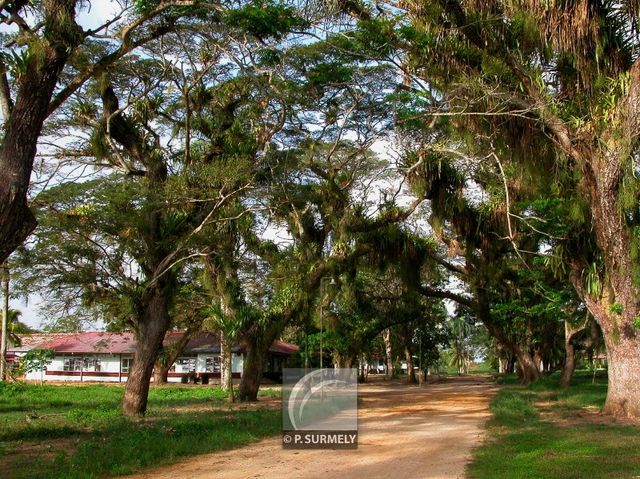 Marienburg
Dans l'ancienne rhumerie
Mots-clés: Suriname;Amrique;Marienburg;rhumerie