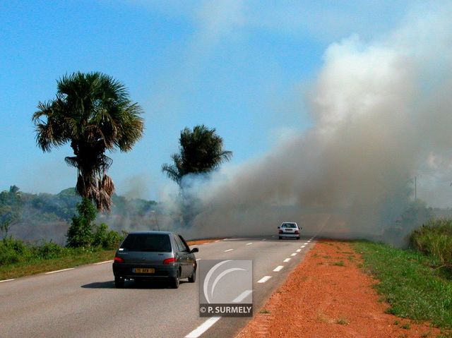 Feu de savane
Matiti
Mots-clés: Guyane;Amrique;tropiques;pompier;SDIS;incendie;feu;secours