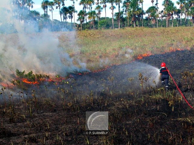 Feu de savane
Matiti
Mots-clés: Guyane;Amrique;tropiques;pompier;SDIS;incendie;feu;secours