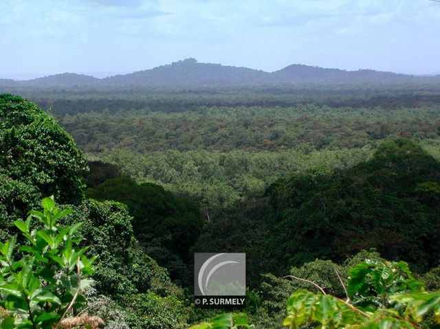La Montagne des Singes
Mots-clés: Guyane;Amrique;fort;Kourou