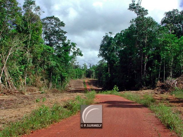 Piste de la Montagne des Singes
Mots-clés: Guyane;Amrique;fort;piste;Kourou