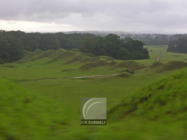 Parc Naturel de Nyonie
Savane
Mots-clés: Afrique;Gabon;tropiques;nature;savane