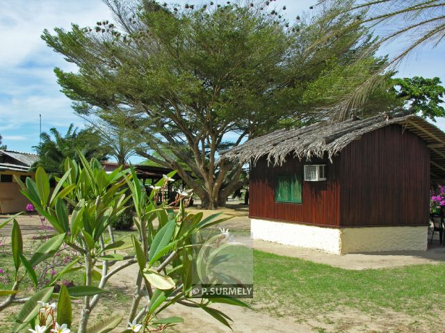 Parc Naturel de Nyonie
Bungalow
Mots-clés: Afrique;Gabon;tropiques;nature