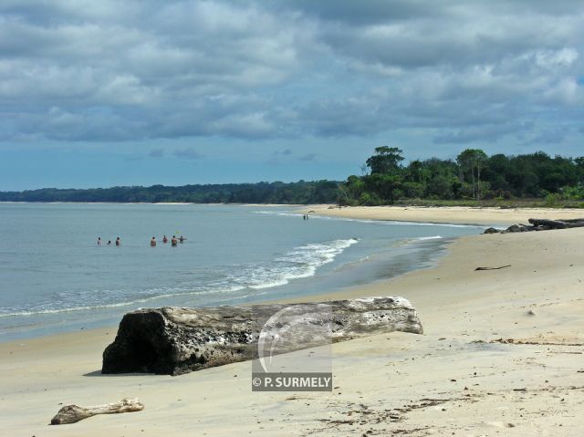 Parc Naturel de Nyonie
Plage
Mots-clés: Afrique;Gabon;tropiques;nature;plage;ocan