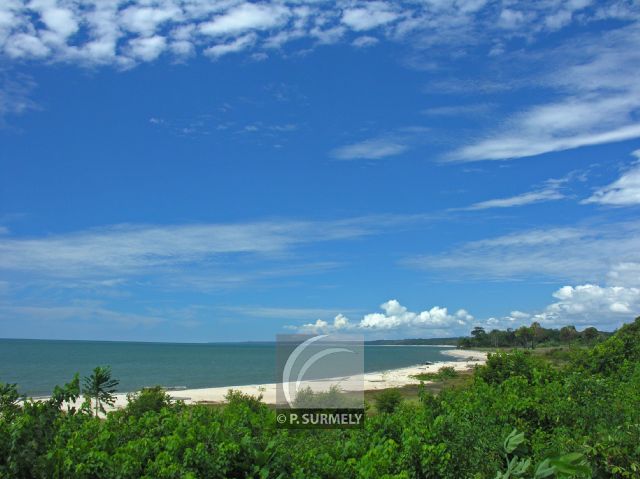 Parc Naturel de Nyonie
Plage
Mots-clés: Afrique;Gabon;tropiques;nature;plage;ocan