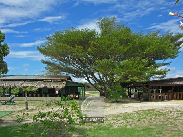 Parc Naturel de Nyonie
Campement
Mots-clés: Afrique;Gabon;tropiques;nature;tourisme